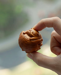 Pawmates Hug - Mr. YuanYe-Handcraft Wood fidget sensory toys/Car hanging mirror accessories